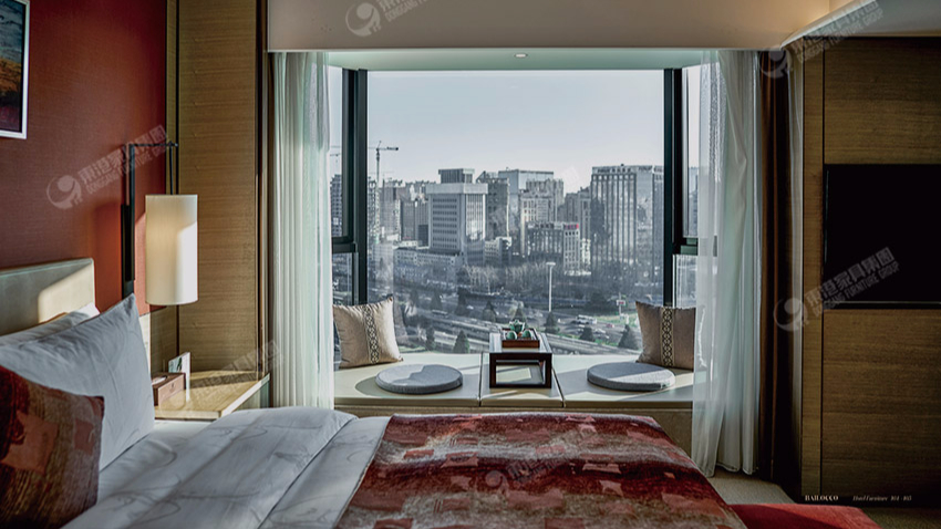 北京維景大小蝌蚪网站在线观看-客房-6