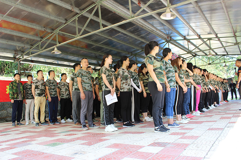 小蝌蚪视频污下载免费家具團隊戶外拓展訓練