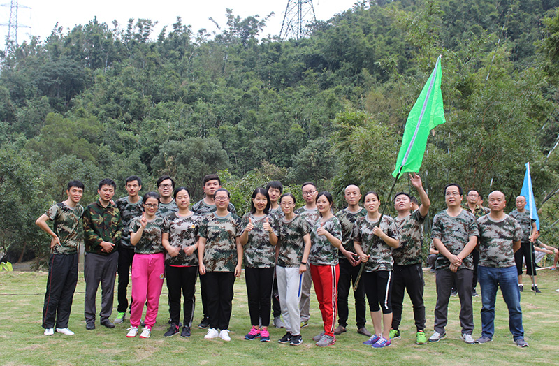 小蝌蚪视频污下载免费團隊2組