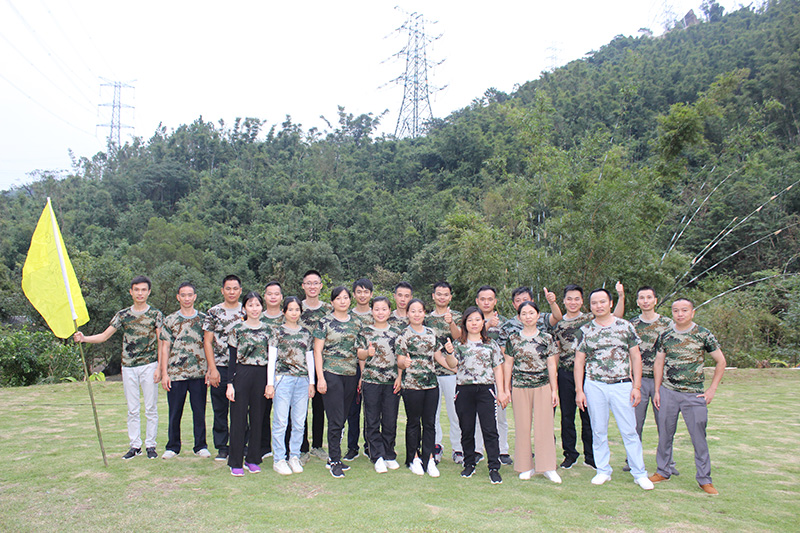 小蝌蚪视频污下载免费團隊5組