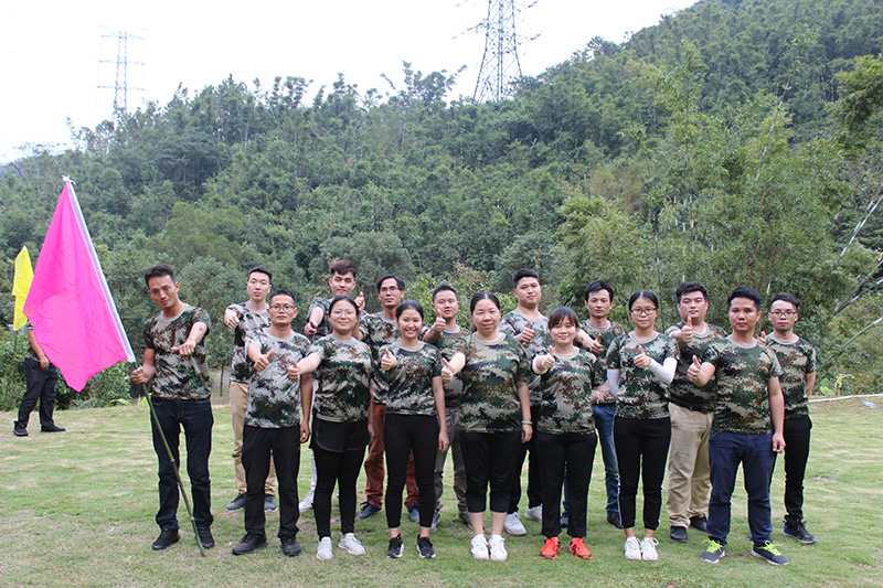 小蝌蚪视频污下载免费團隊6組