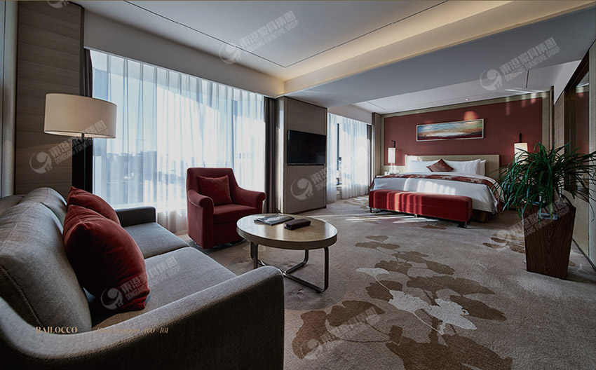 北京維景大小蝌蚪网站在线观看-客房-1