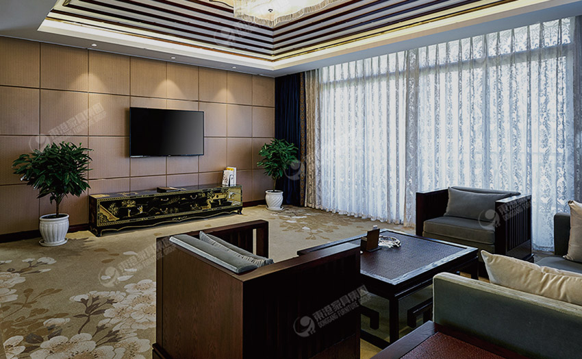 茅台國際大小蝌蚪网站在线观看-客房-2