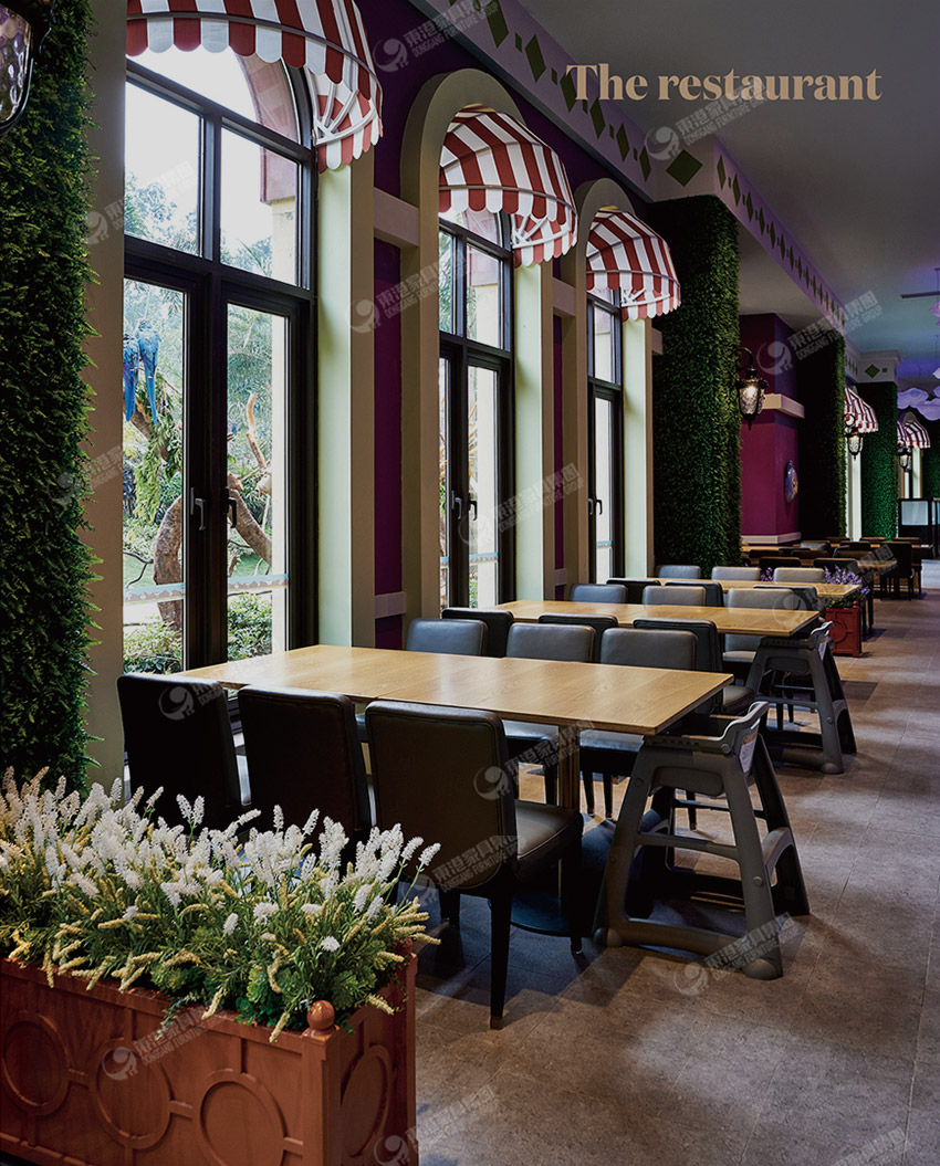 長隆熊貓小蝌蚪网站在线观看-公區-5