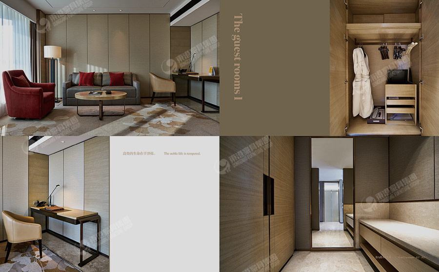 維景大小蝌蚪网站在线观看-5