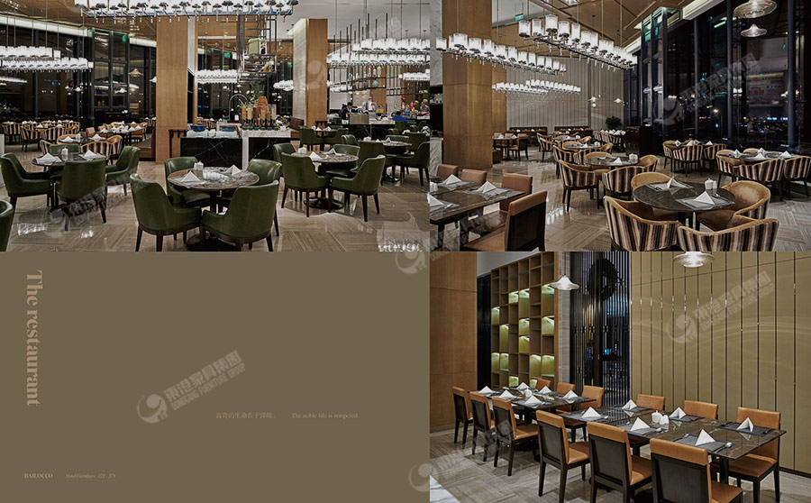 維景大小蝌蚪网站在线观看-10