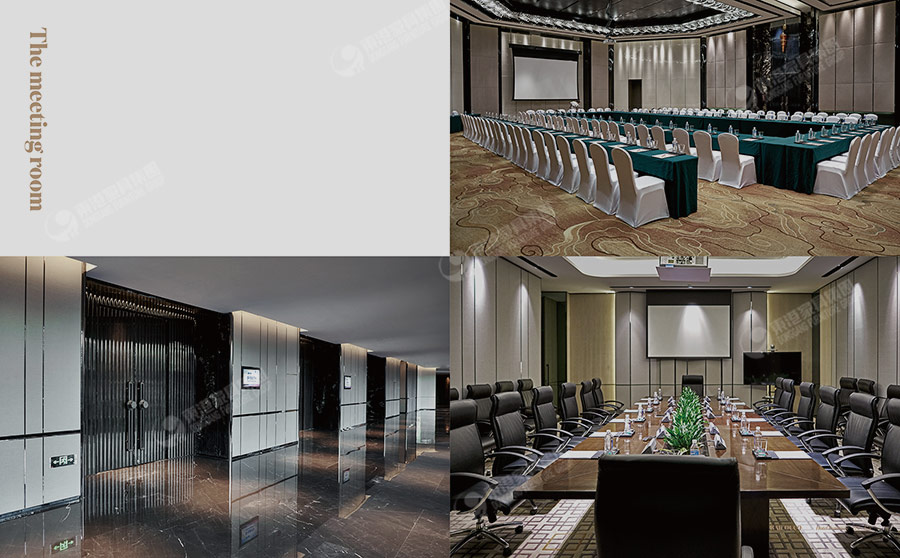 維景大小蝌蚪网站在线观看-11