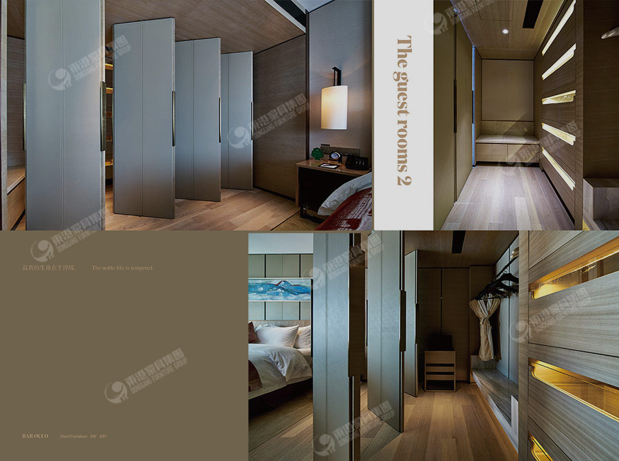 維景大小蝌蚪网站在线观看-8