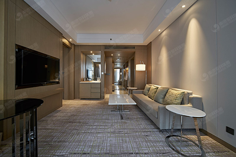 公寓小蝌蚪网站在线观看家具